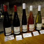 Loire Valley Wine Tasting Tour from Paris