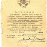 Russian Protective Corps WW2 veteran award , the badge