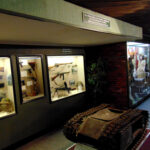 WW2 battlefield private tours museum France